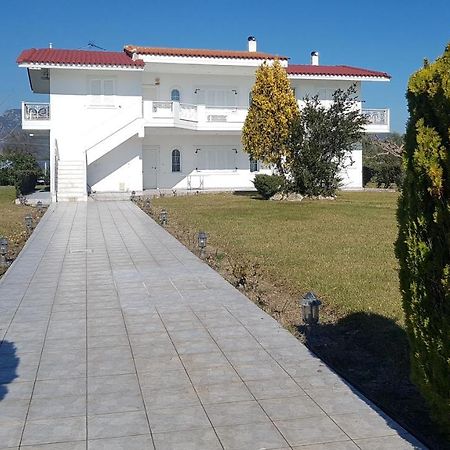 Silver Villa Raches Maisonette & Green Kouvéla Exteriör bild